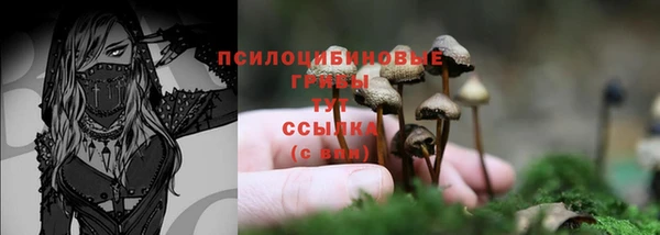 герыч Инта