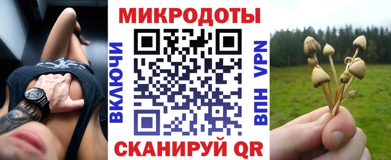 Псилоцибиновые грибы Psilocybine cubensis  Купить где  Липецк 